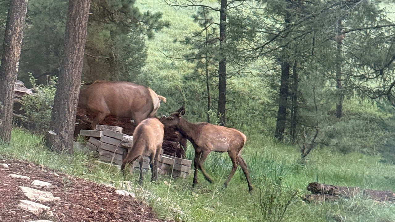 Photo of Others in Cloudcroft