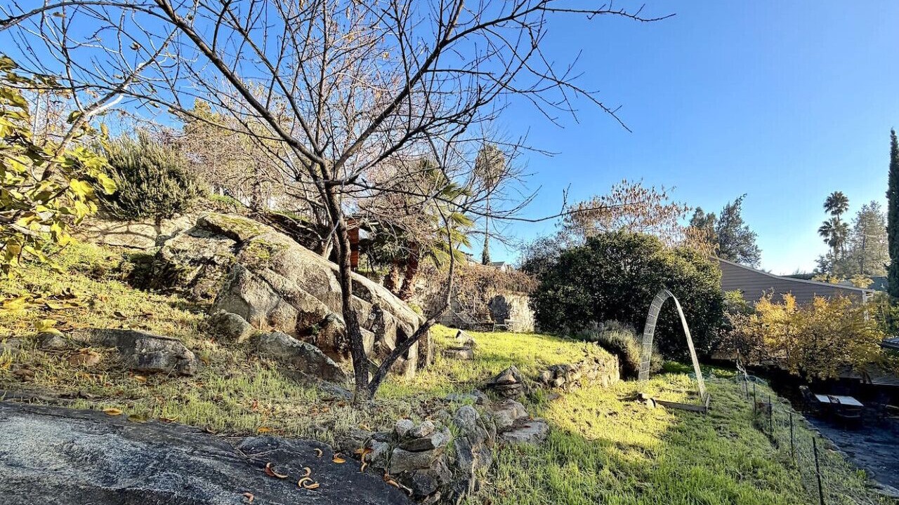 Photo of Outdoor in Newcastle