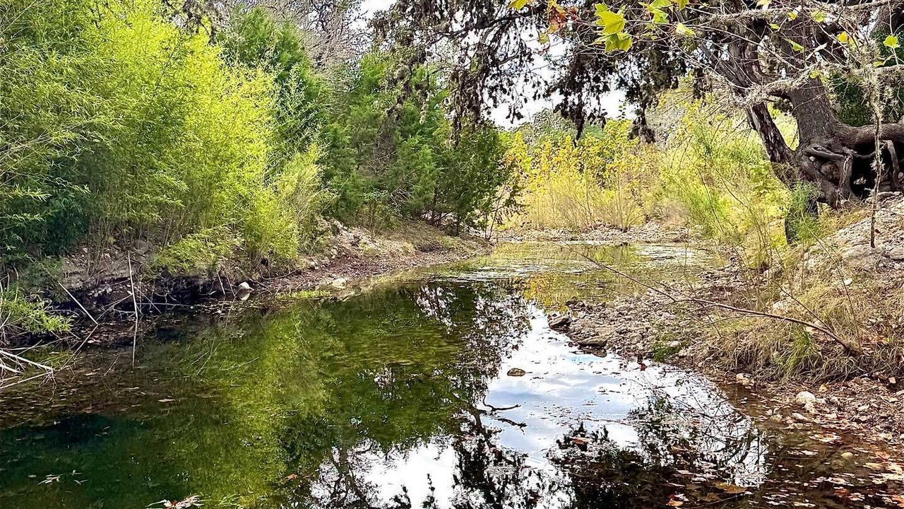 Photo of Others in Leakey