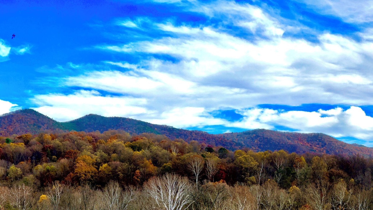 Photo of Others in Shenandoah