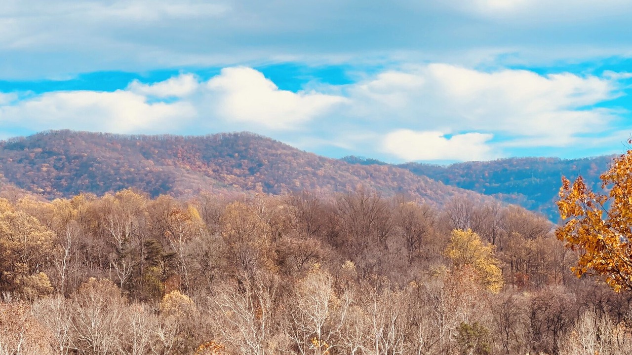 Photo of Others in Shenandoah