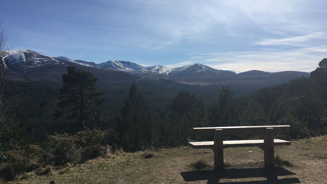 Photo of Others in Dulnain Bridge