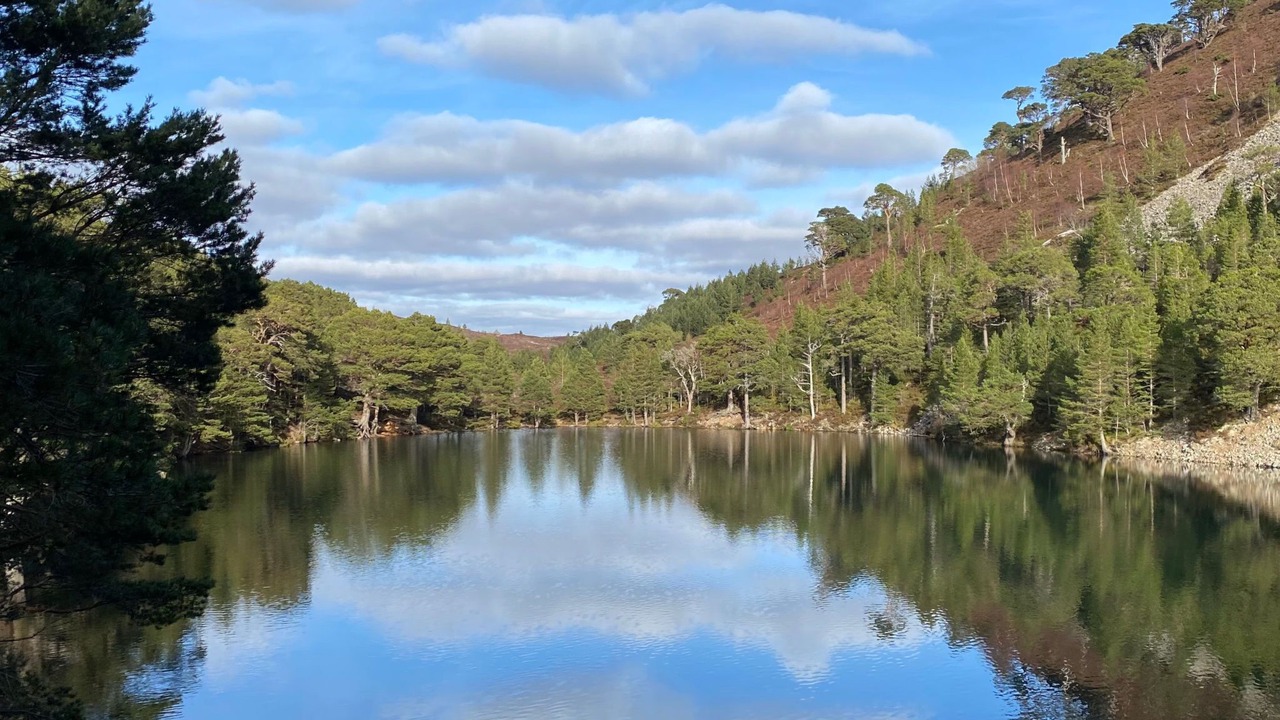Photo of Others in Dulnain Bridge