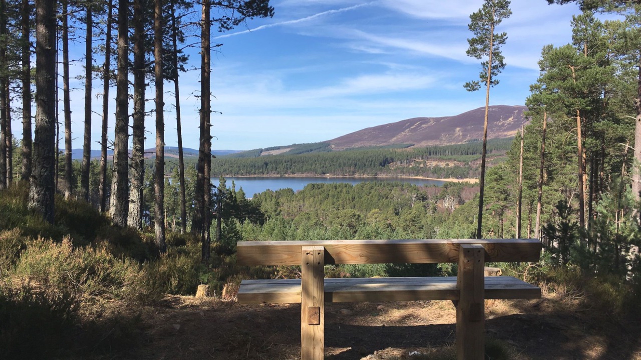 Photo of Others in Dulnain Bridge