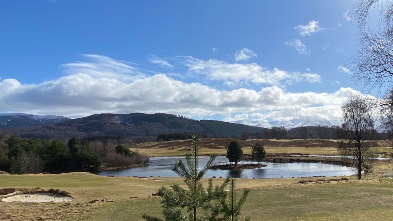 Photo of Others in Dulnain Bridge
