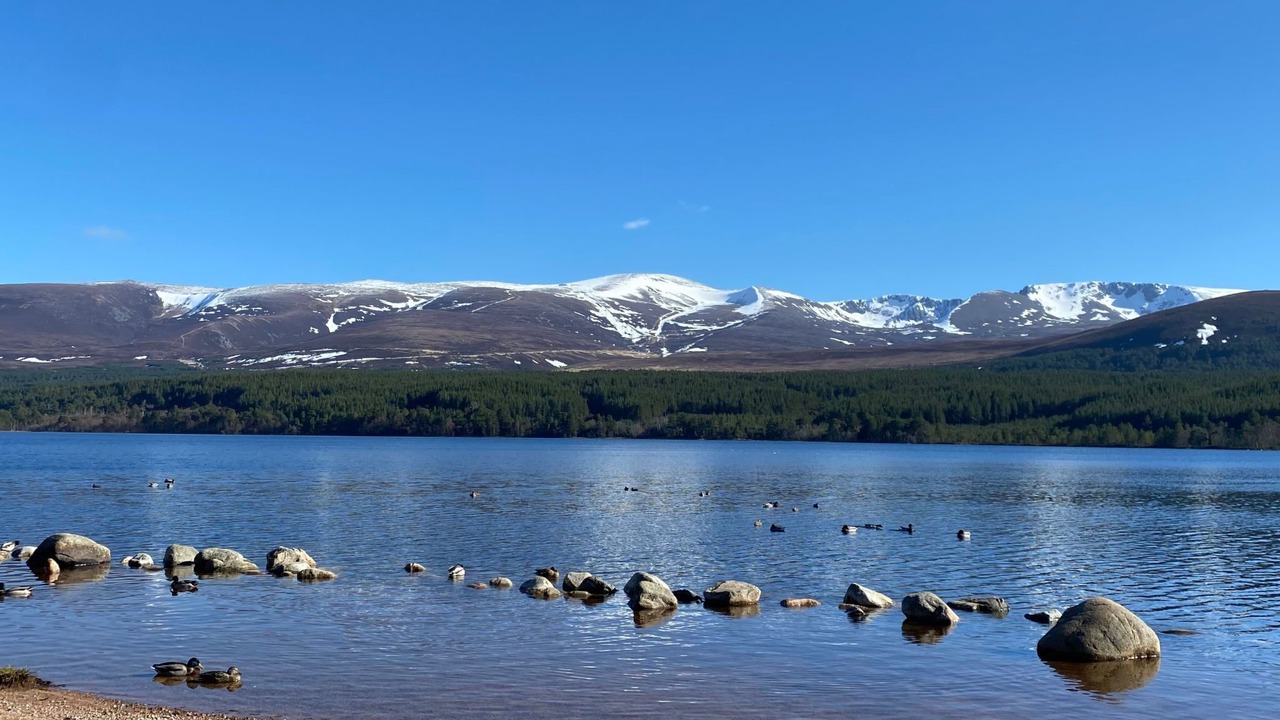 Photo of Others in Dulnain Bridge