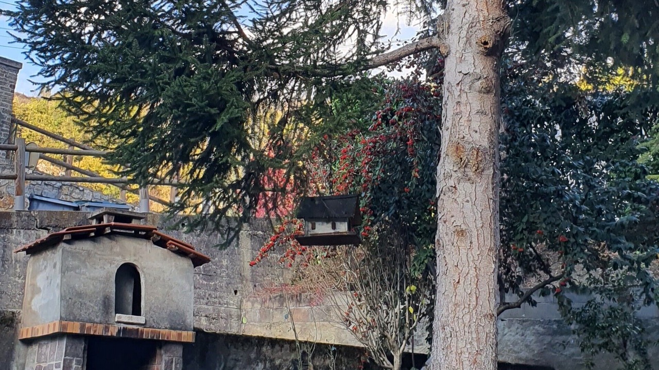 Photo of Outdoor in Garanou