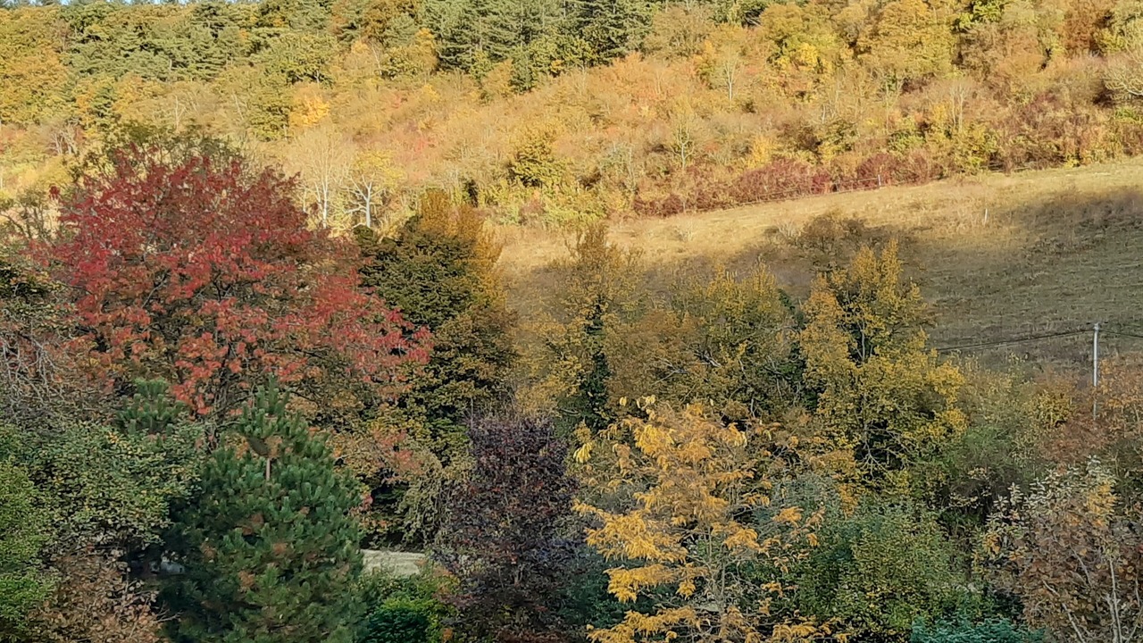 Photo of Others in Vernon
