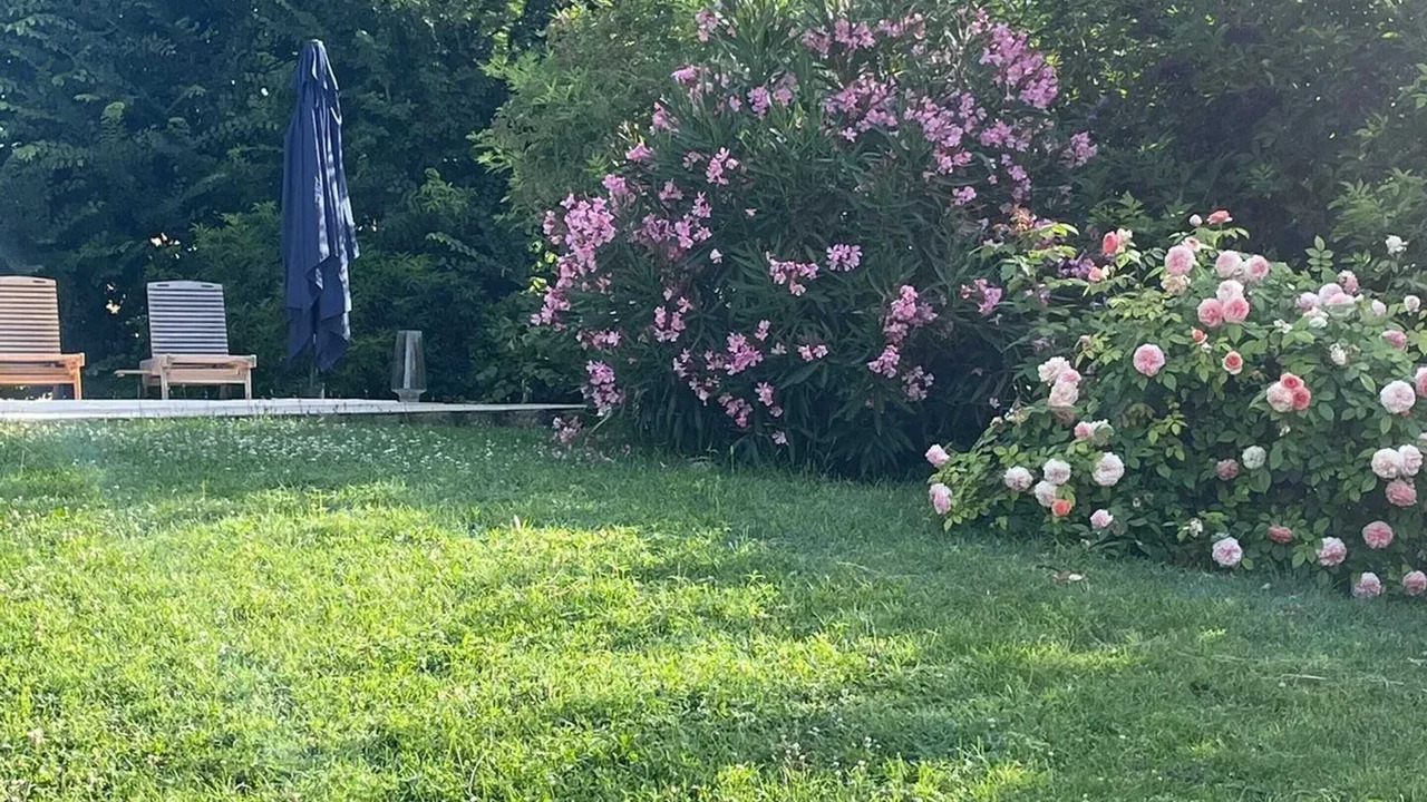 Photo of Outdoor in Marsac