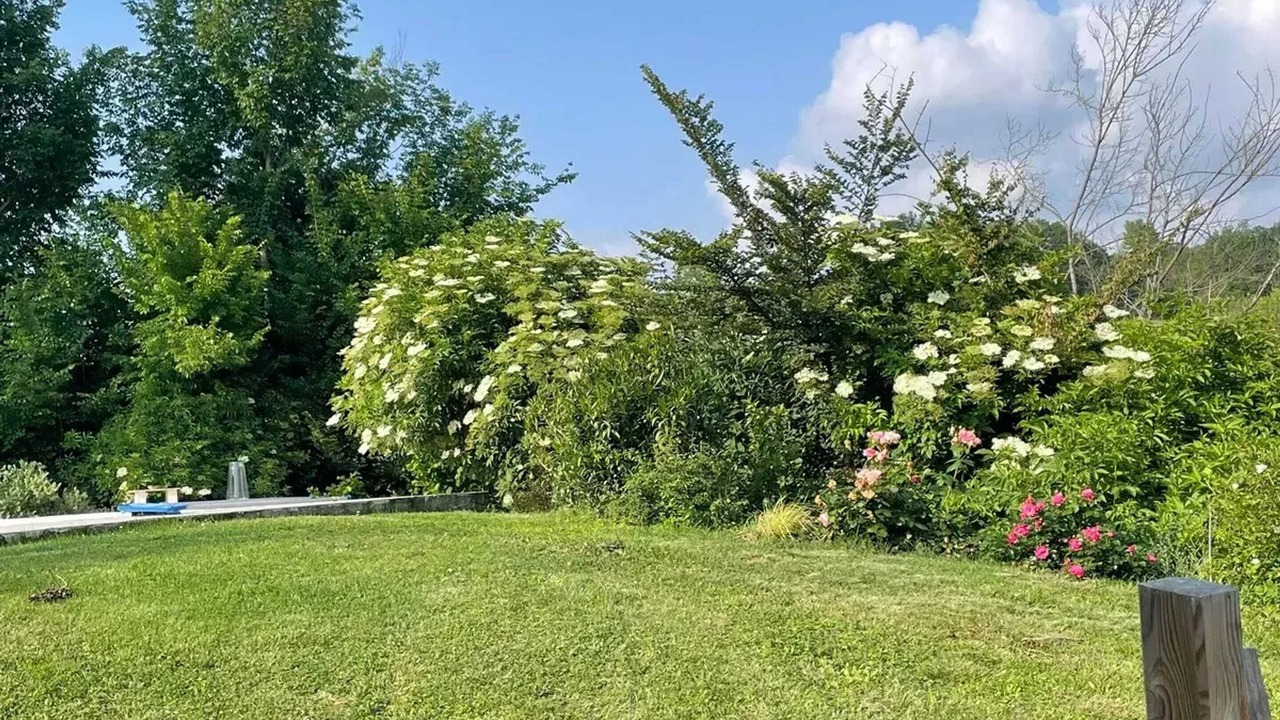 Photo of Outdoor in Marsac