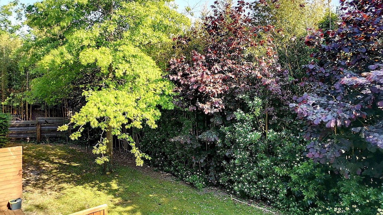 Photo of Outdoor in Messanges