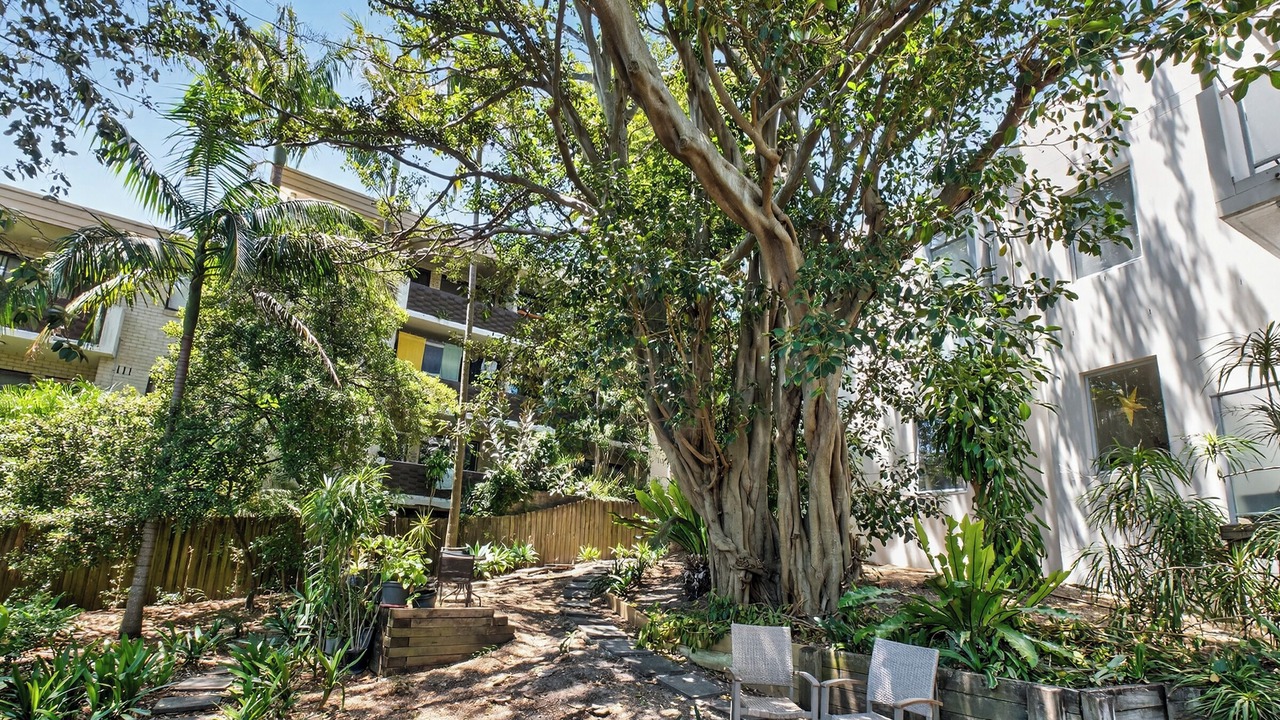 Photo of Outdoor in Dee Why