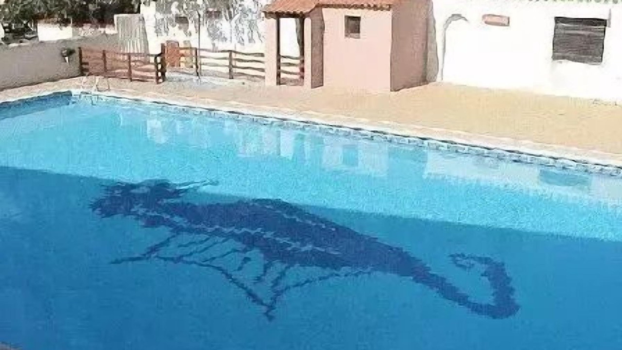 Photo of Outdoor in Marseillan