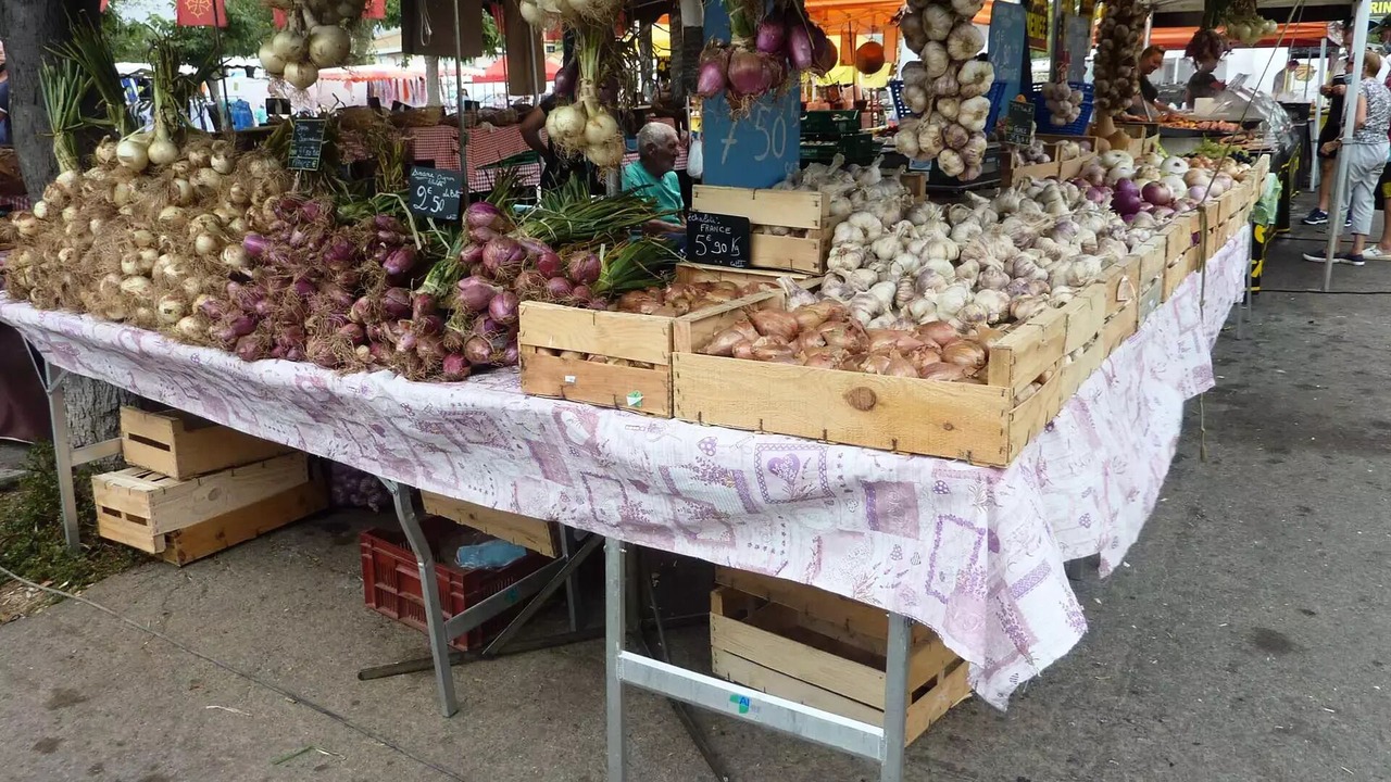 Photo of Others in Marseillan