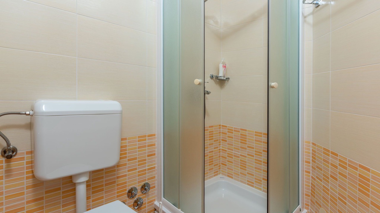 Photo of Bathroom in Boljevici