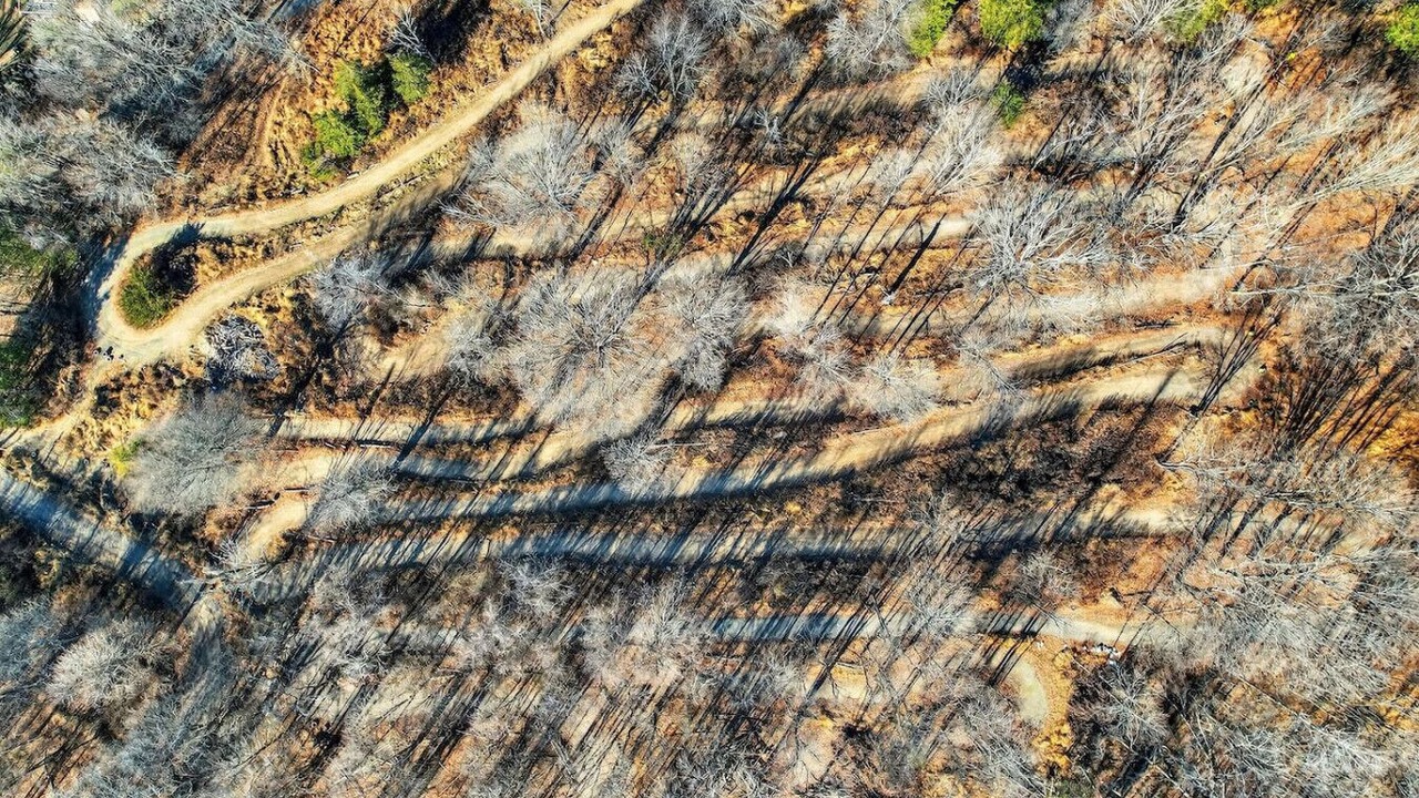 Photo of Outdoor in Monroe