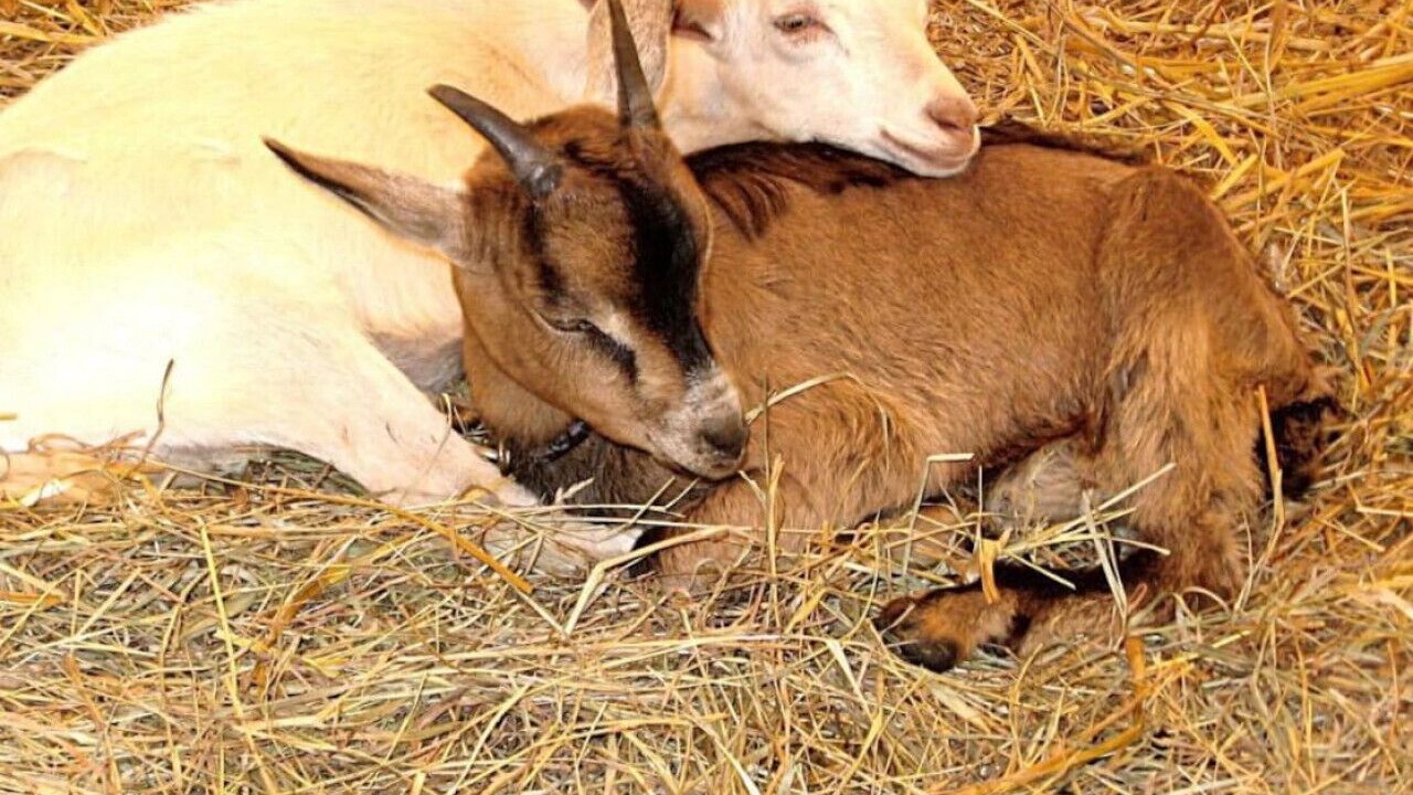 Photo of Others in Monroe