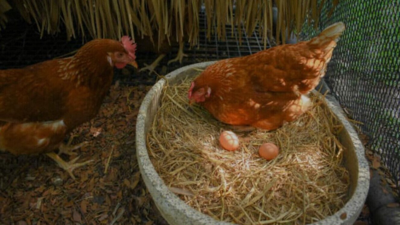 Photo of Others in Monroe