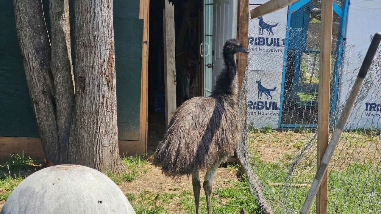 Photo of Others in Monroe