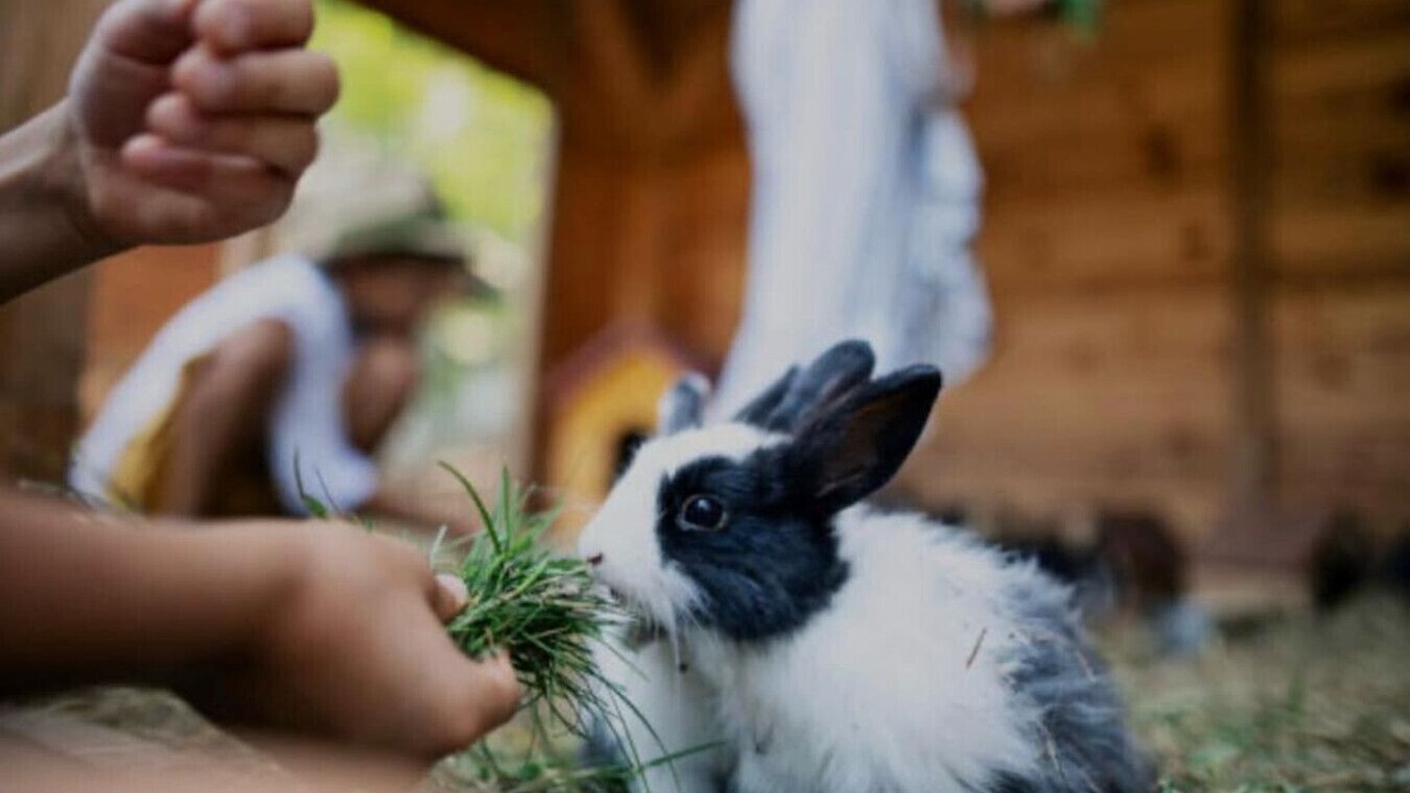 Photo of Others in Monroe