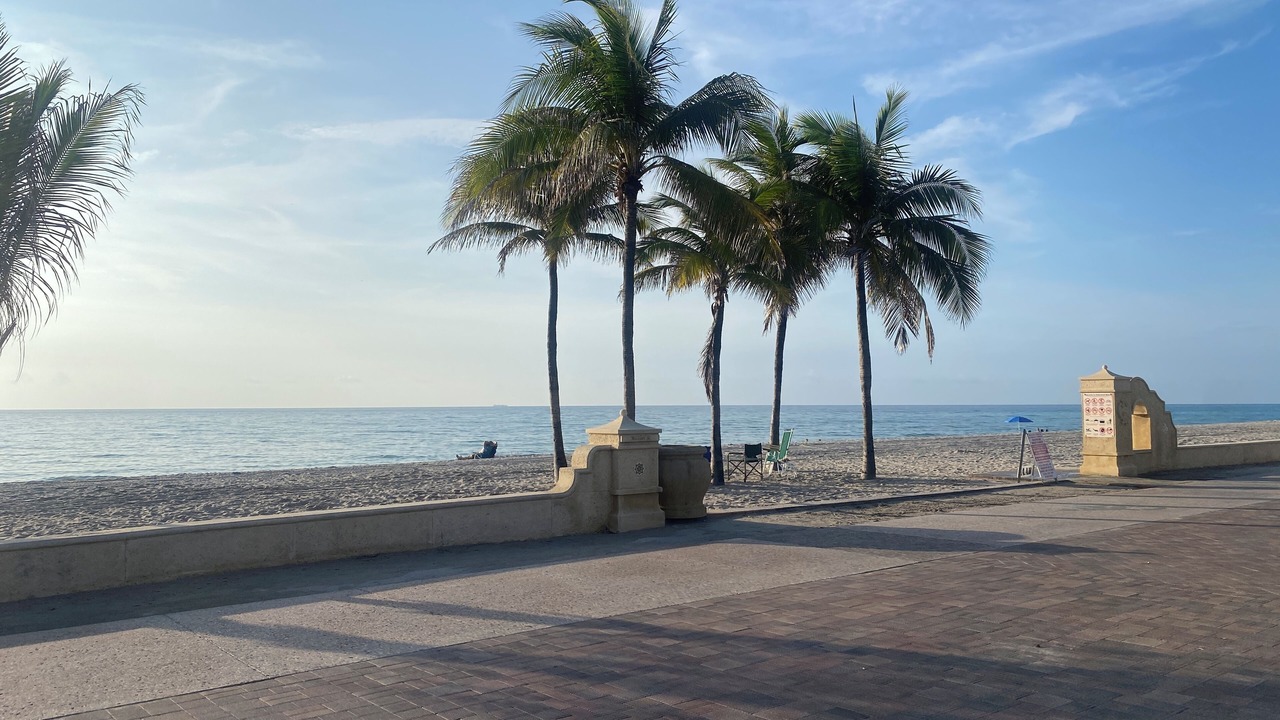 Photo of Others in Royal Poinciana