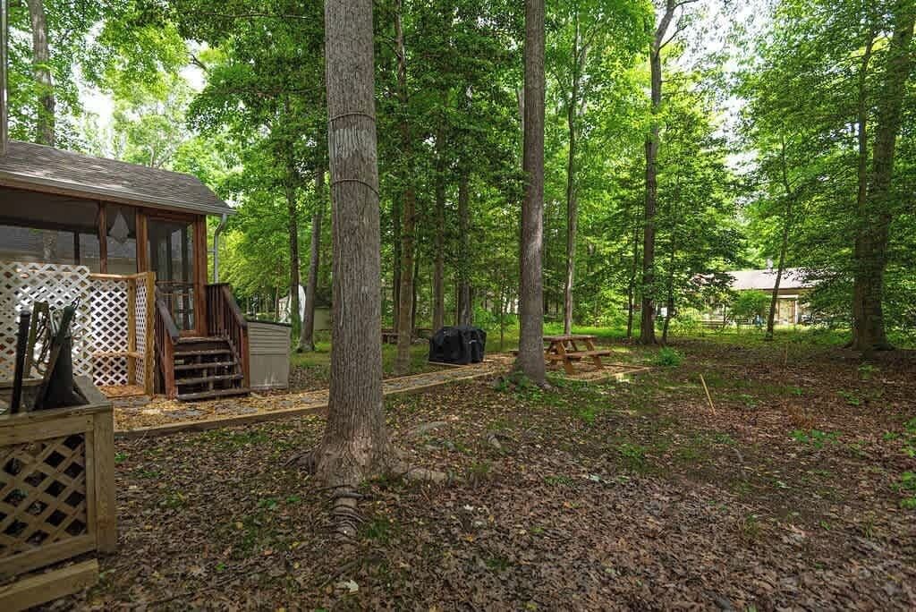 Photo of Outdoor in Ocean Pines