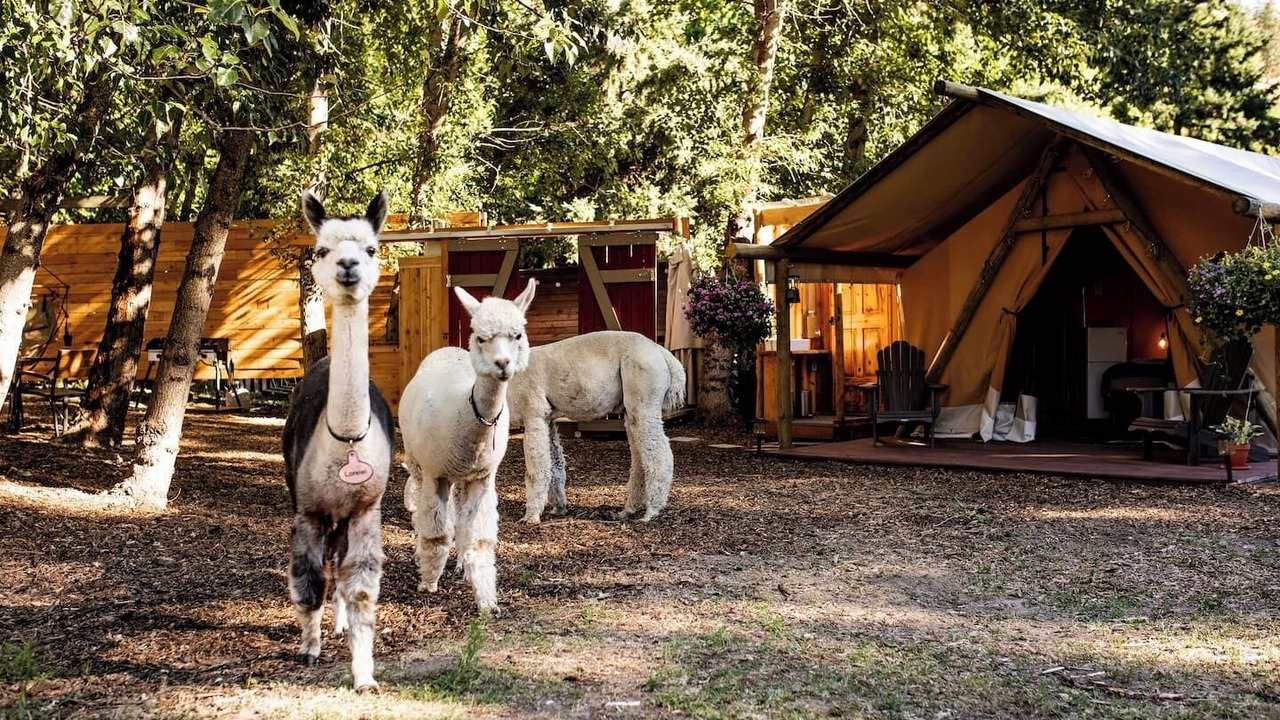 Photo of Outdoor in The Dalles