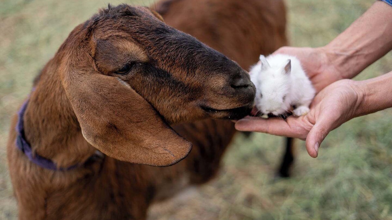 Photo of Others in The Dalles