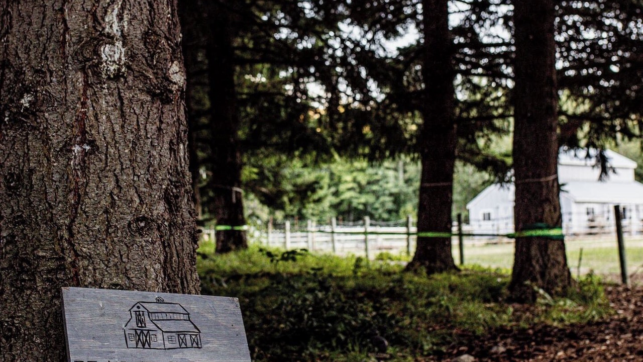 Photo of Outdoor in The Dalles