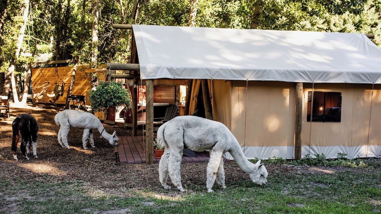 Photo of Outdoor in The Dalles