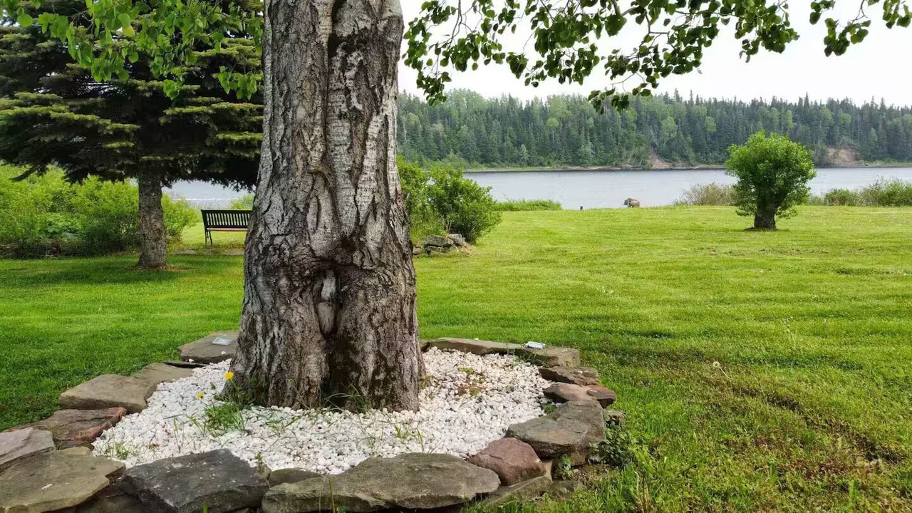 Photo of Outdoor in Reidville