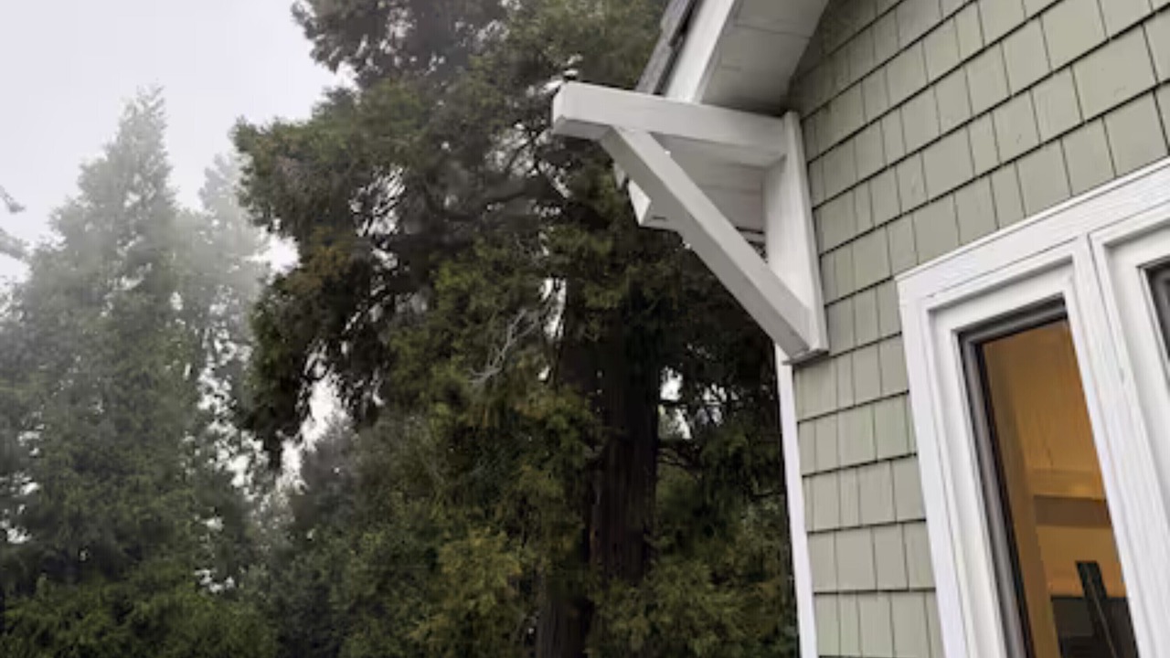 Photo of Outdoor in Crestline