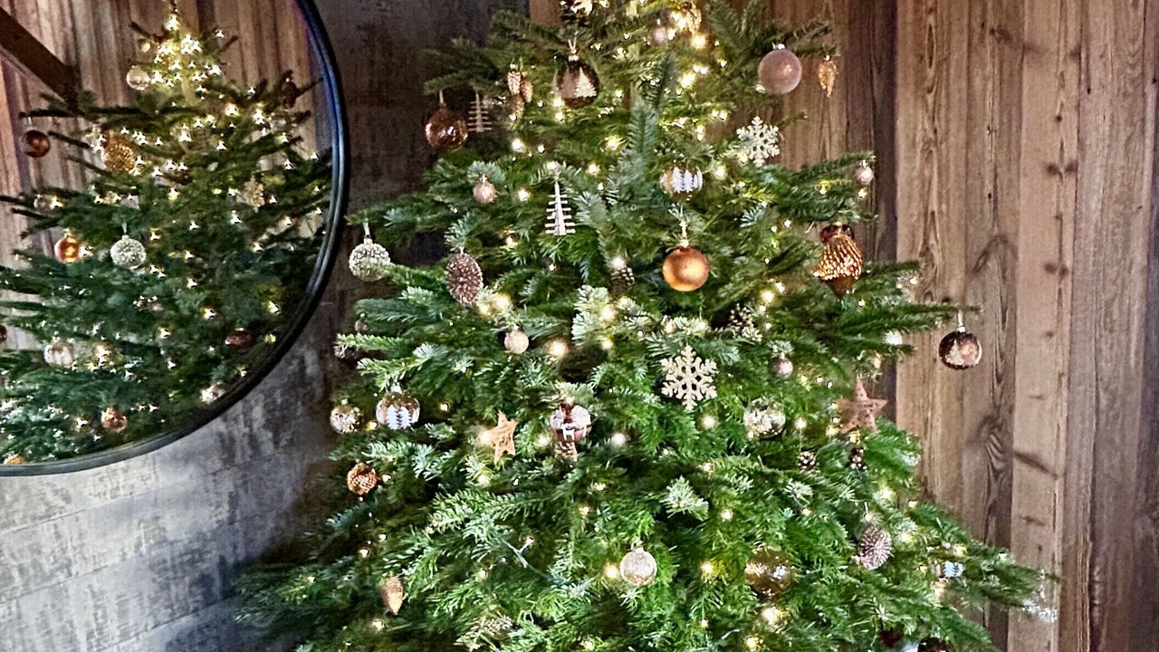 Photo of Others in Les Gets