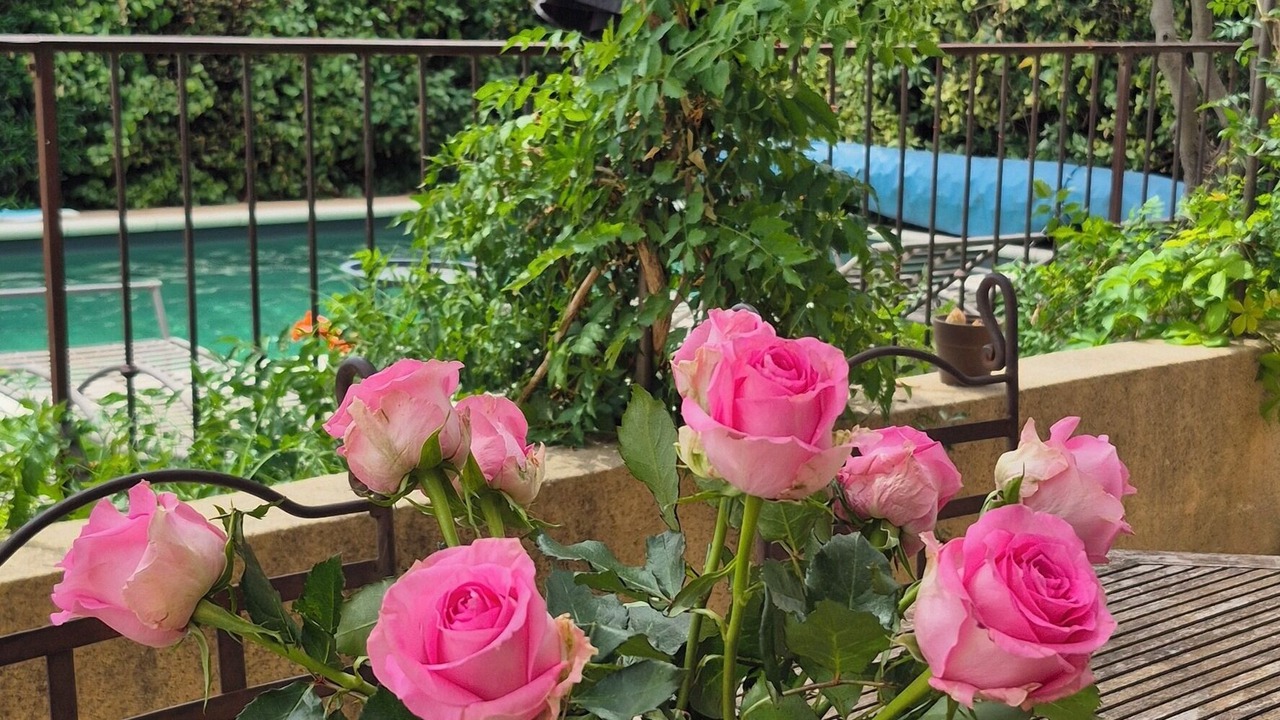 Photo of Outdoor in Chateauneuf-de-Gadagne