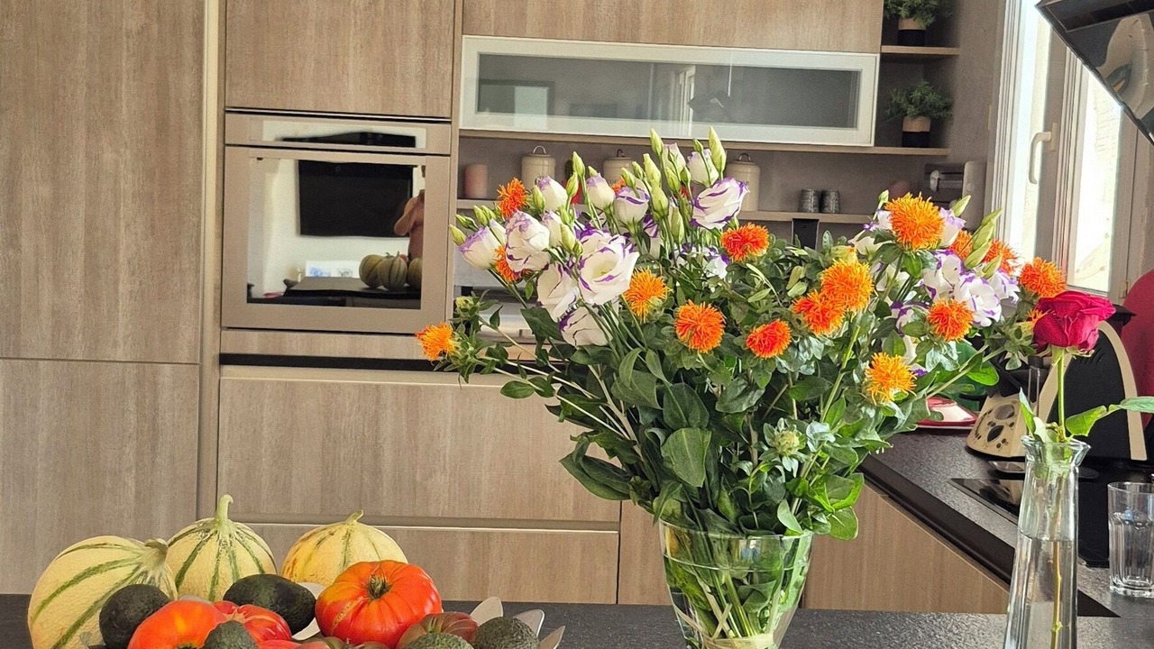 Photo of Others in Chateauneuf-de-Gadagne