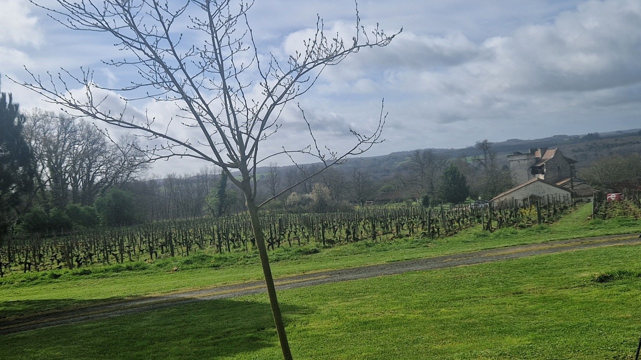 Photo of Others in Monbazillac