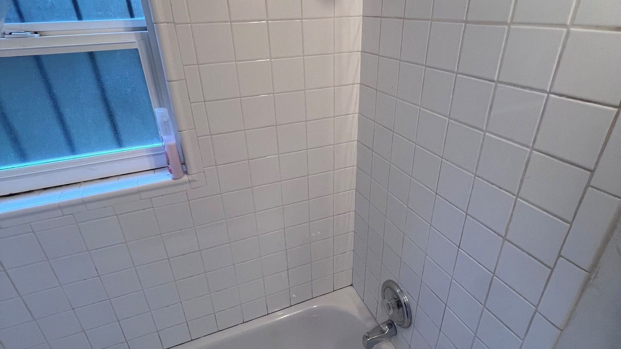 Photo of Bathroom in Bryn Mawr-Skyway