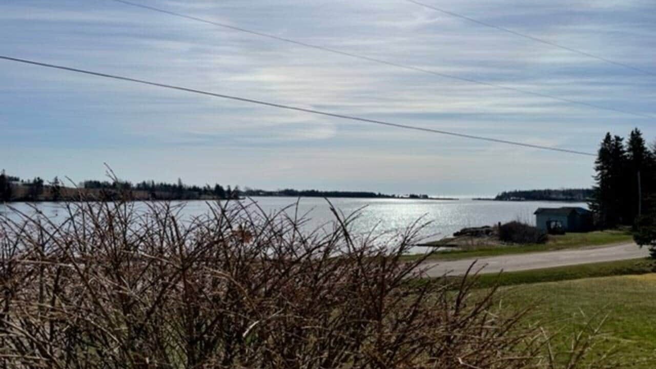 Photo of Others in Bay Fortune