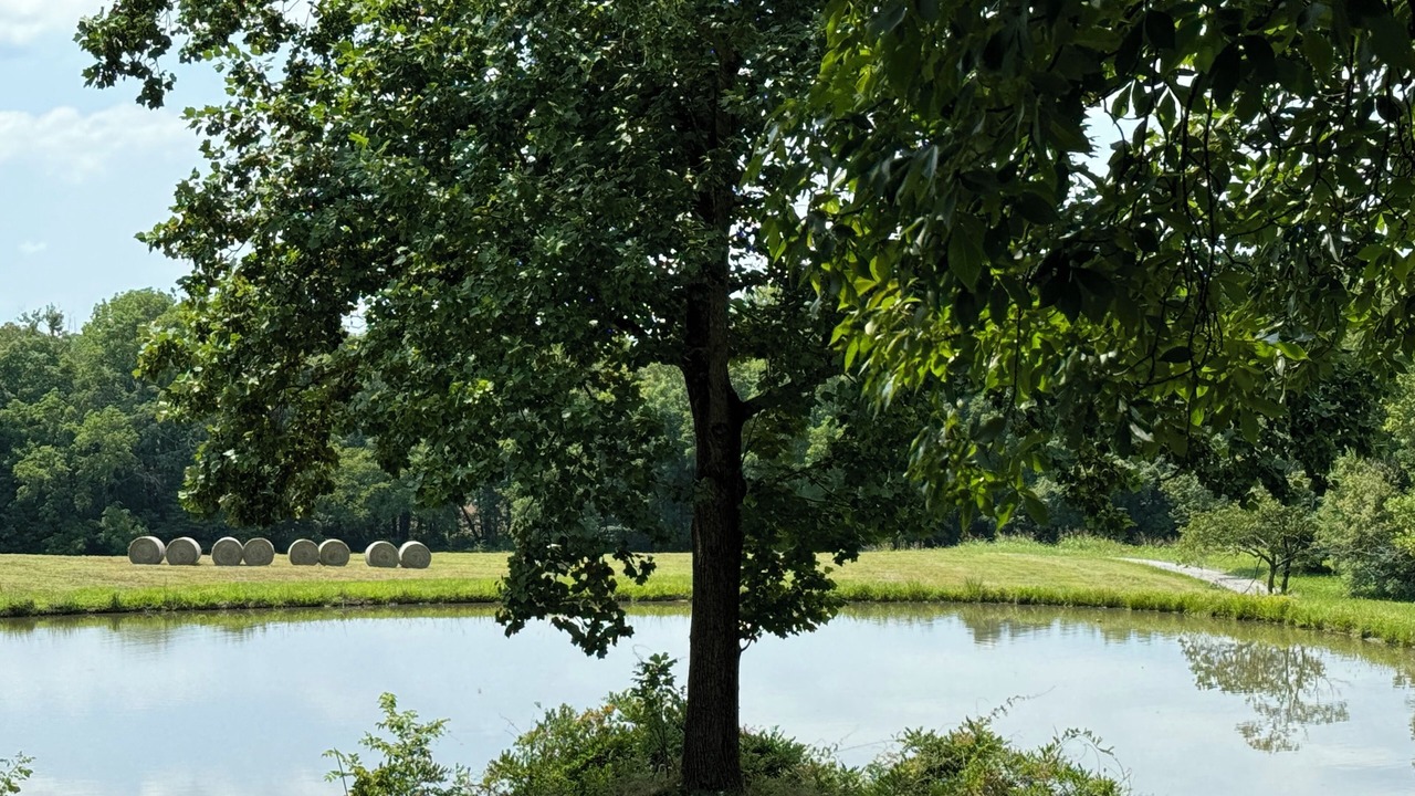 Photo of Outdoor in Perks