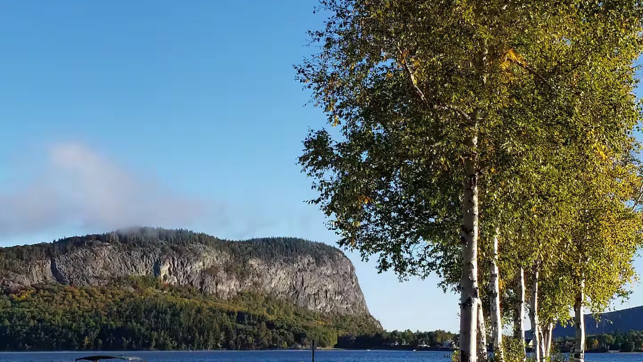 Photo of Others in Rockwood