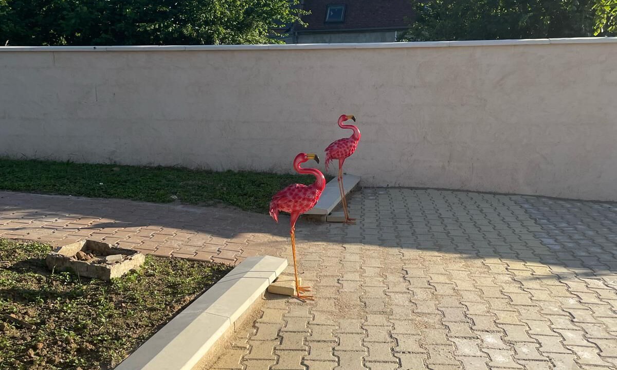 Photo of Outdoor in Ravenel