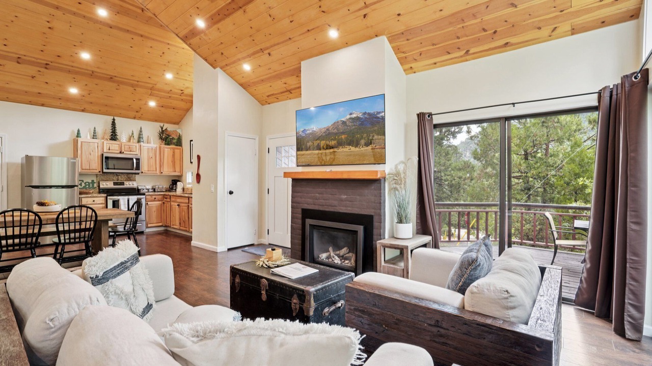 Photo of Livingroom in Idyllwild