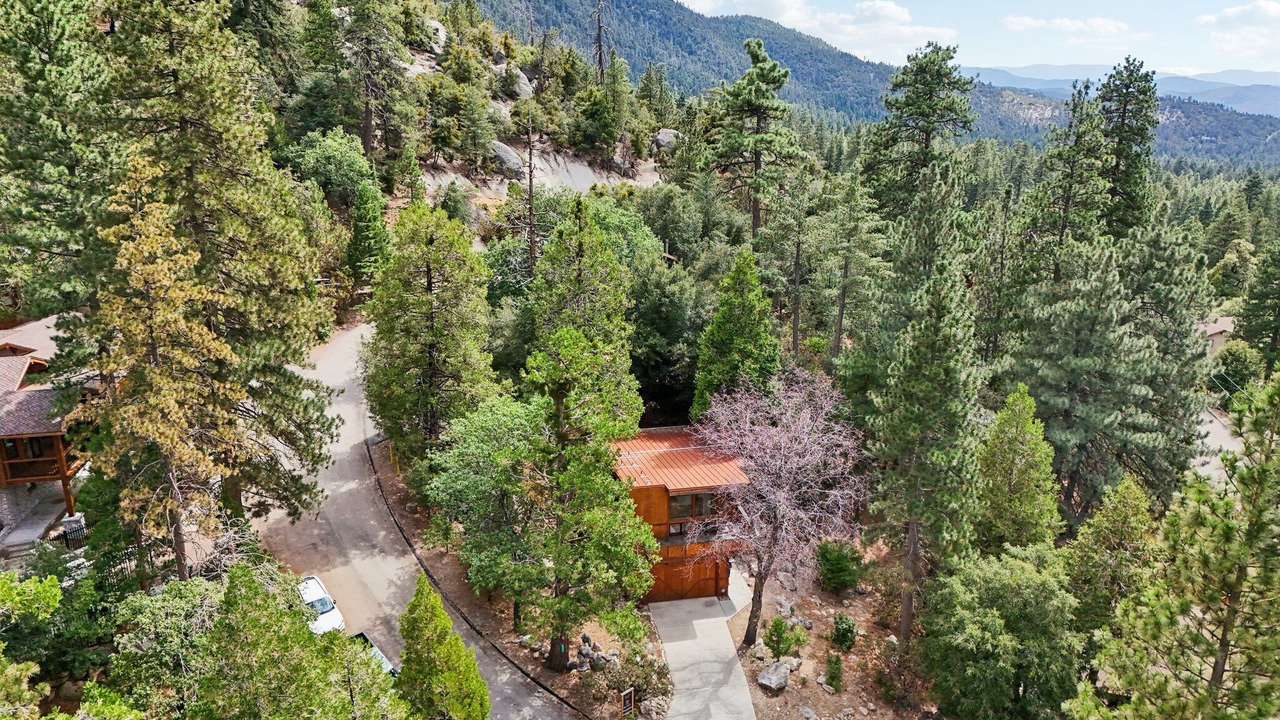 Photo of Outdoor in Idyllwild