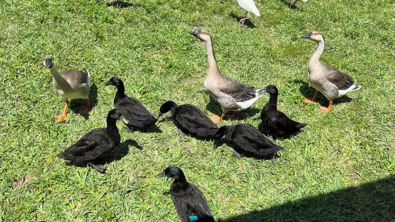 Photo of Others in Lake Helen