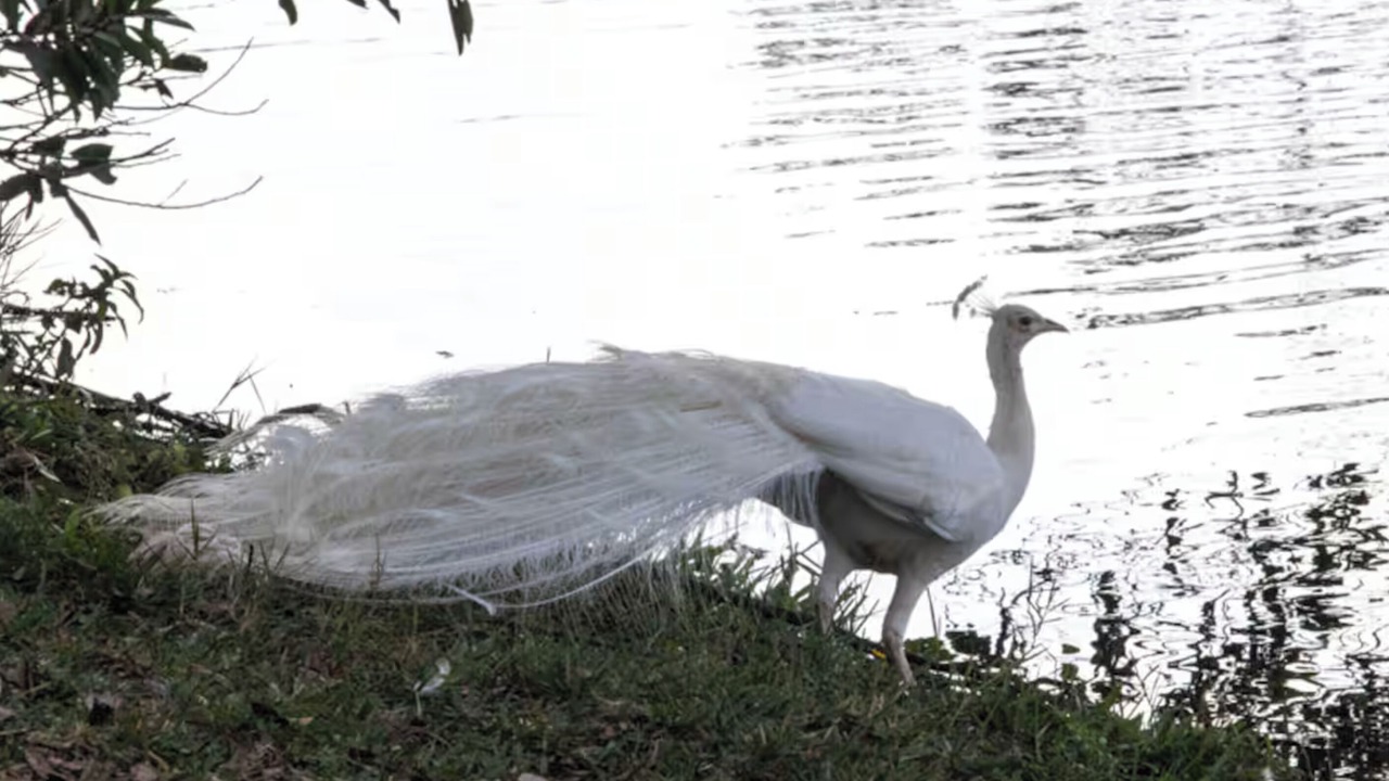 Photo of Others in Lake Helen