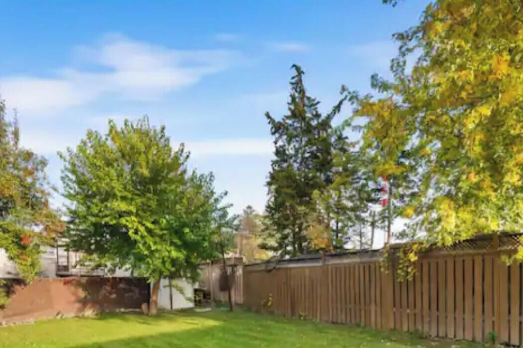 Photo of Others in Toronto