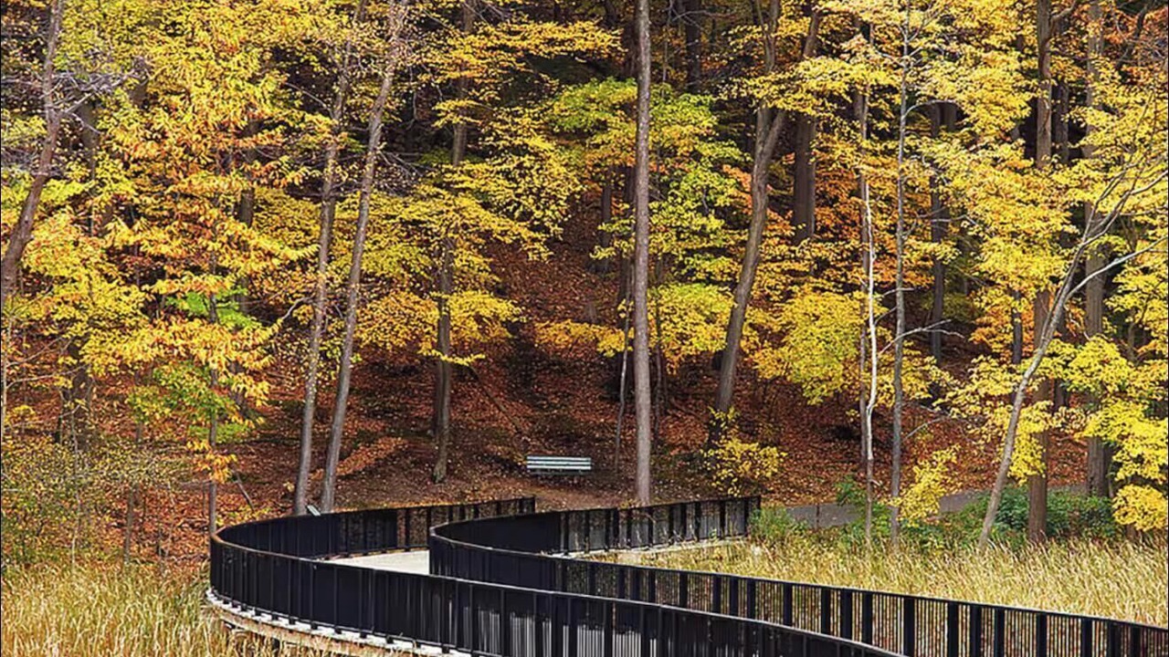 Photo of Others in East Irondequoit