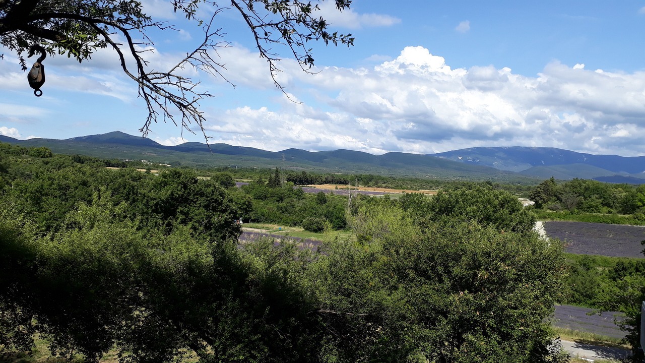 Photo of Others in Salles-sous-Bois