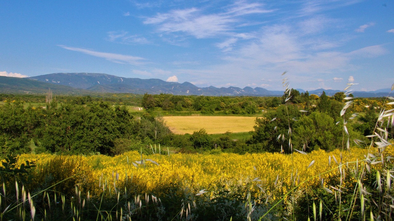 Photo of Others in Salles-sous-Bois