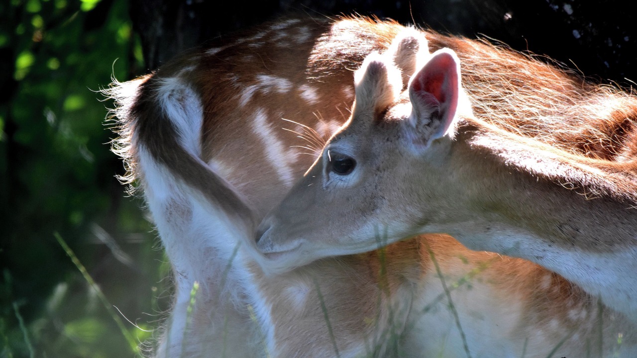 Photo of Others in Feternes
